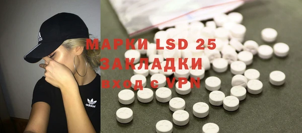 прущий лед Алзамай