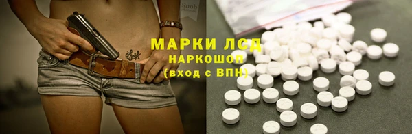 прущий лед Алзамай