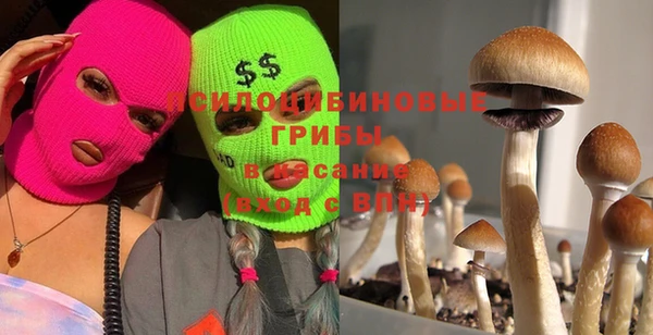 метамфетамин Алексин