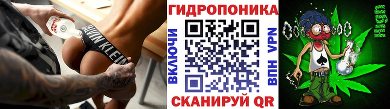 Конопля план  где купить наркотик  Котово 